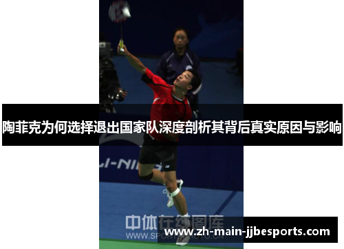 陶菲克为何选择退出国家队深度剖析其背后真实原因与影响